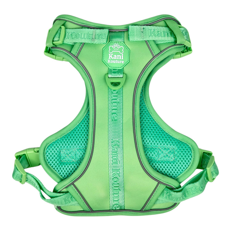 Mint Meadows - Adventure Harness
