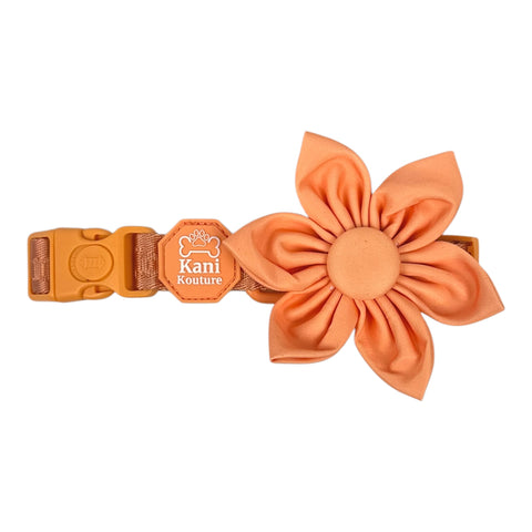 Coral Rush - Flower Tie