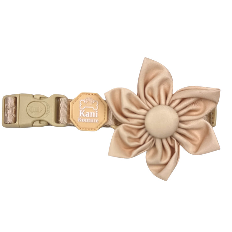 Créam Brûlée - Flower Tie