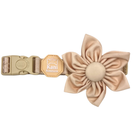 Créam Brûlée - Flower Tie