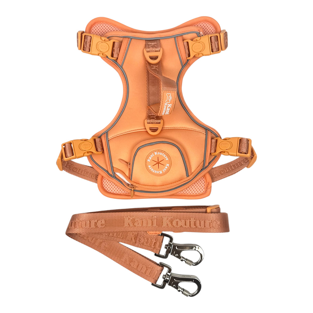 Coral Rose - Adventure Harness