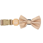 Créam Brûlée - Bow Tie