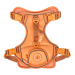 Coral Rose - Adventure Harness