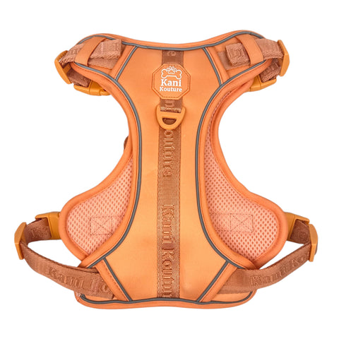 Coral Rose - Adventure Harness