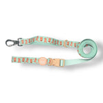 Honey Bear - Hands Free Leash