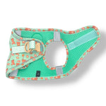 Honey Bear - Step-in Harness