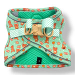 Honey Bear - Step-in Harness