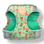 Honey Bear - Step-in Harness