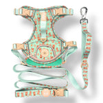 Honey Bear - Adventure Harness