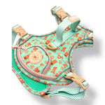 Honey Bear - Adventure Harness