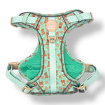 Honey Bear - Adventure Harness