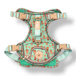 Honey Bear - Adventure Harness