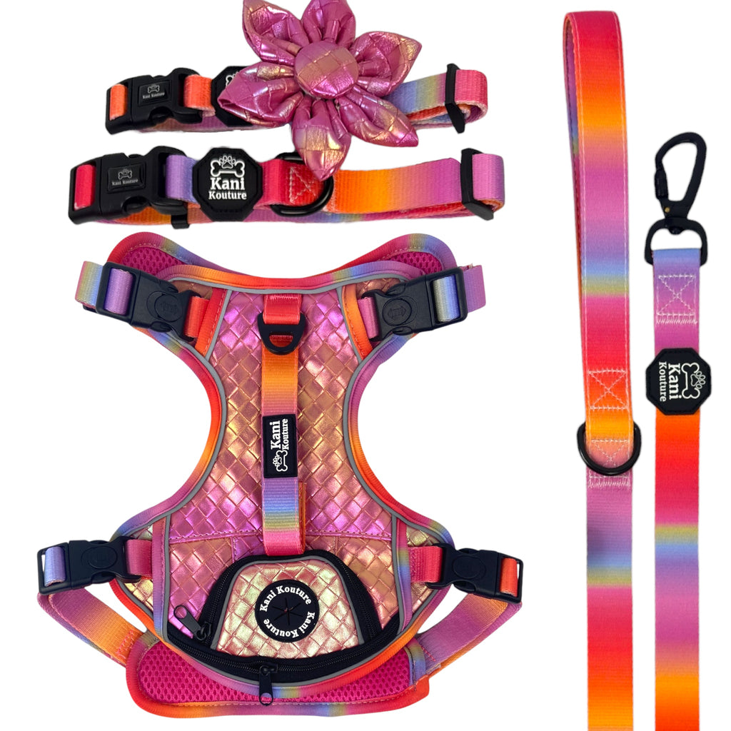 Fuchsia Meadows - Adventure Bundle
