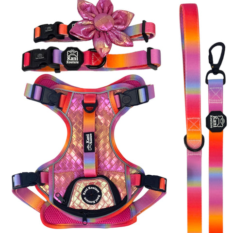 Fuchsia Meadows - Adventure Bundle