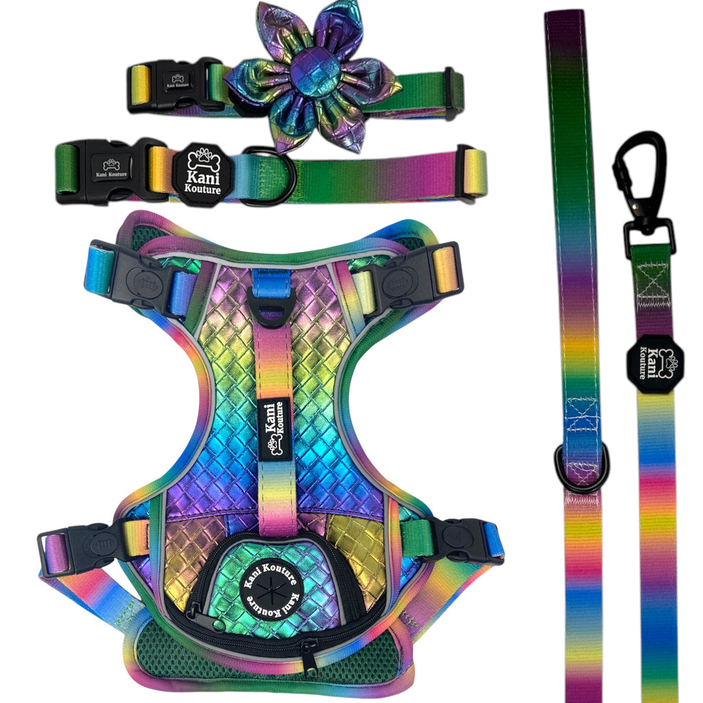 Mystical Haze - Adventure Bundle