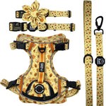 Honey Bee - Adventure Bundle