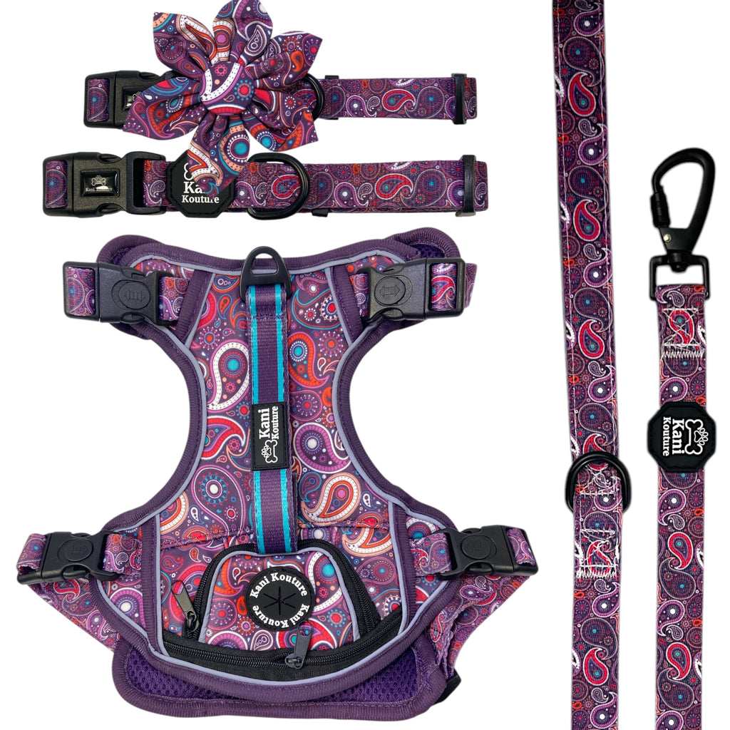 Purple Paisley - Adventure Bundle