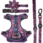 Purple Paisley - Adventure Bundle