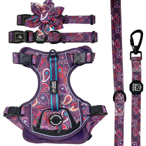 Purple Paisley - Adventure Bundle