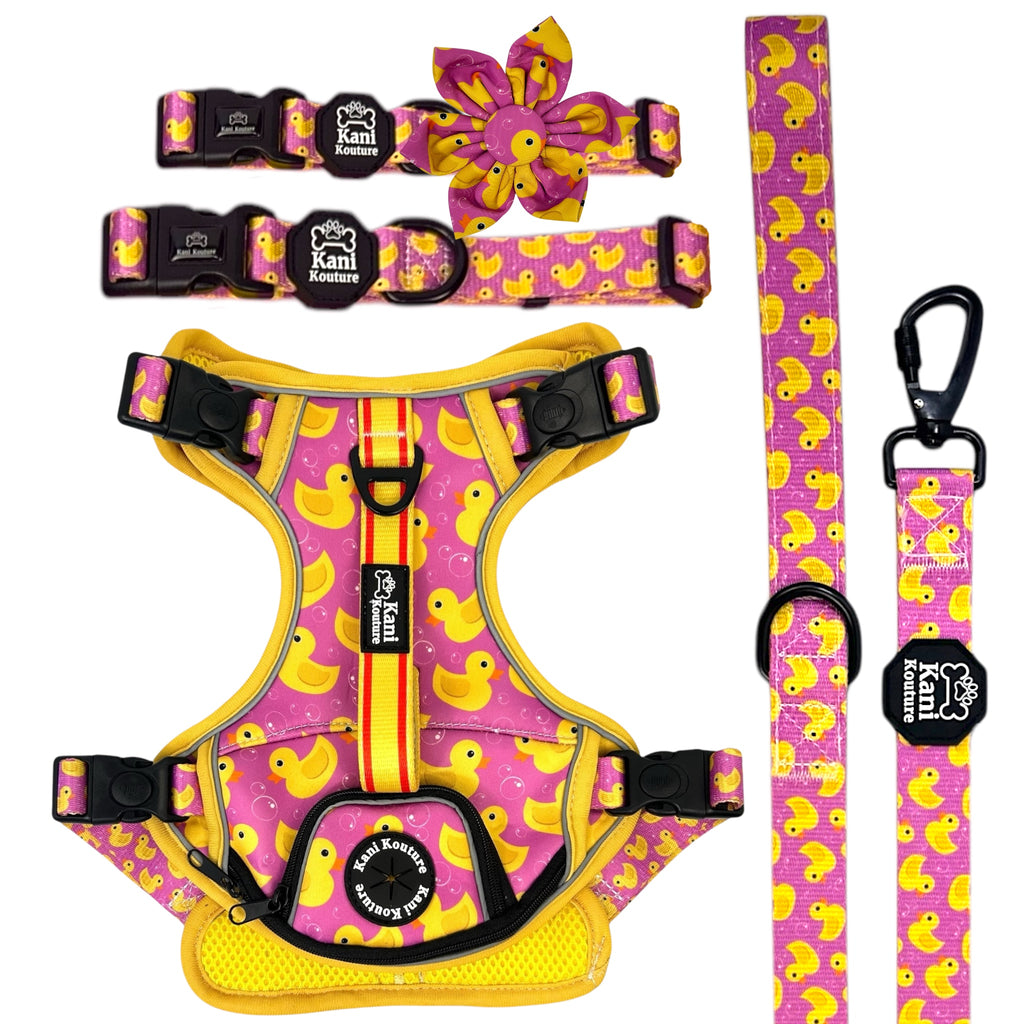 Pink Rubber Ducky - Adventure Bundle