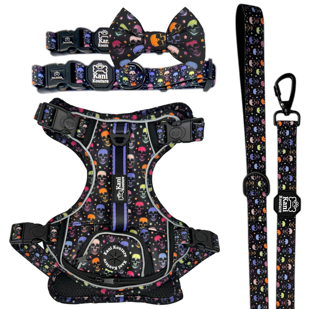 Skully Party - Adventure Bundle