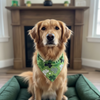 Shamrock Pop Reversible Scrunchie Bandana