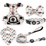 Frenchie - Deluxe Adventure Set