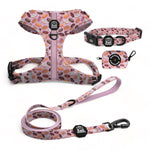 Tasty Donuts Essential Adjustable Set: Treat Your Pup with Adjustable Harness, Collar, Leash, and Poop Bag Dispenser in Sweet Donut-Inspired Designs