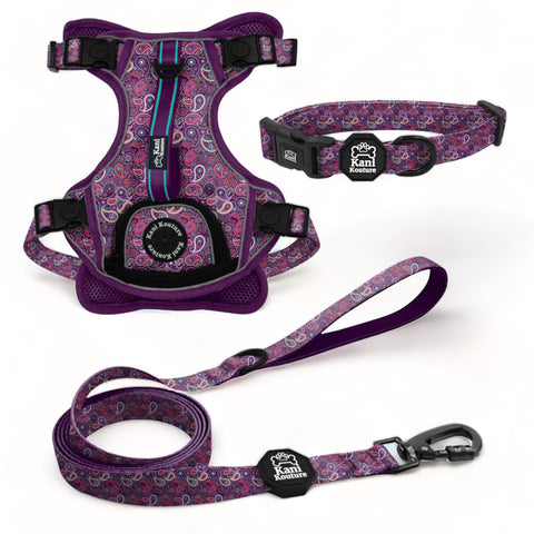 Purple Paisley Essential Adventure Set: Adventure Dog Harness, Adventure Collar, and Leash Accessories