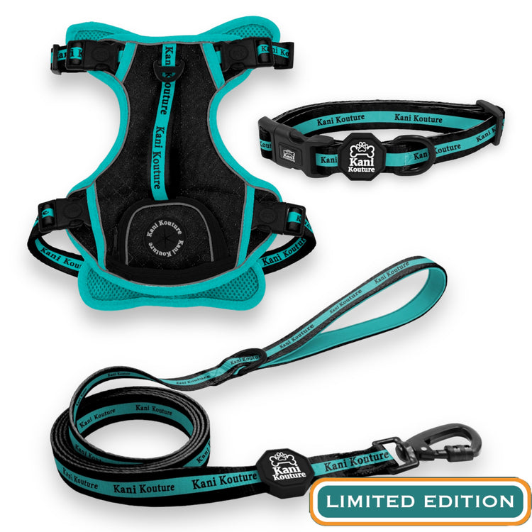 Tiffany Twilight Essential Adventure Set: Adventure Dog Harness, Adventure Collar, and Leash Accessories