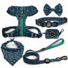 Scuba Dive - Deluxe Adjustable Set