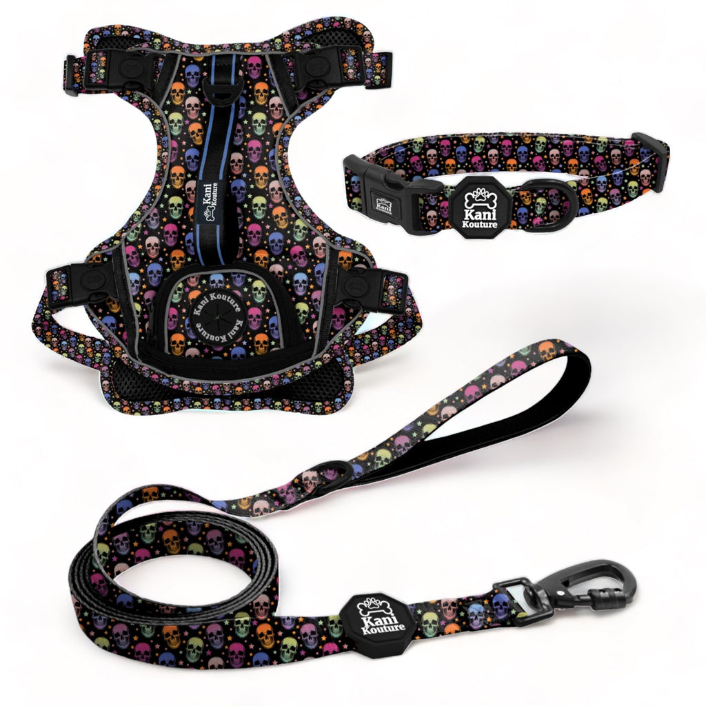 Skully Party Essential Adventure Set: Adventure Dog Harness, Adventure Collar, and Leash Accessories