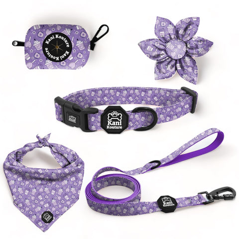 Lollipop Latte Dream - Deluxe Collar Set