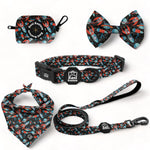 Space Voyage - Deluxe Collar Set