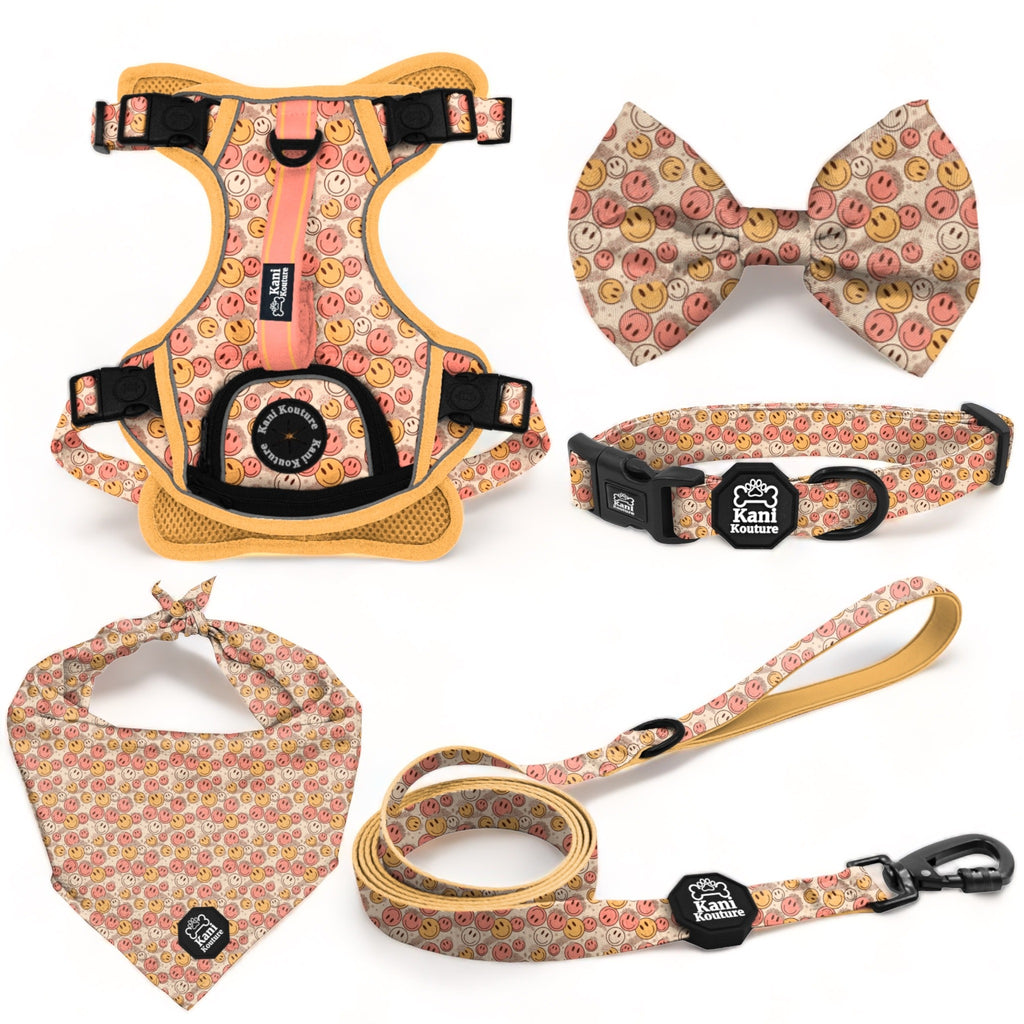 All Smiles Deluxe Adventure Set: Dog Harness, Leash, Collar, Bow Tie, Cooling Bandana, and Accessories