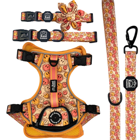 All Smiles Deluxe Adventure Set: Dog Harness, Leash, Collar, Bow Tie, Cooling Bandana, and Accessories