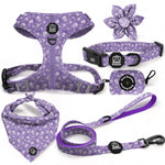 Lollipop Latte Dream - Deluxe Adjustable Set