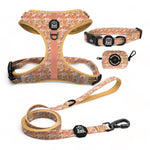 All Smiles Essential Adjustable Set: Adjustable Harness, Collar, Leash, and Accessories