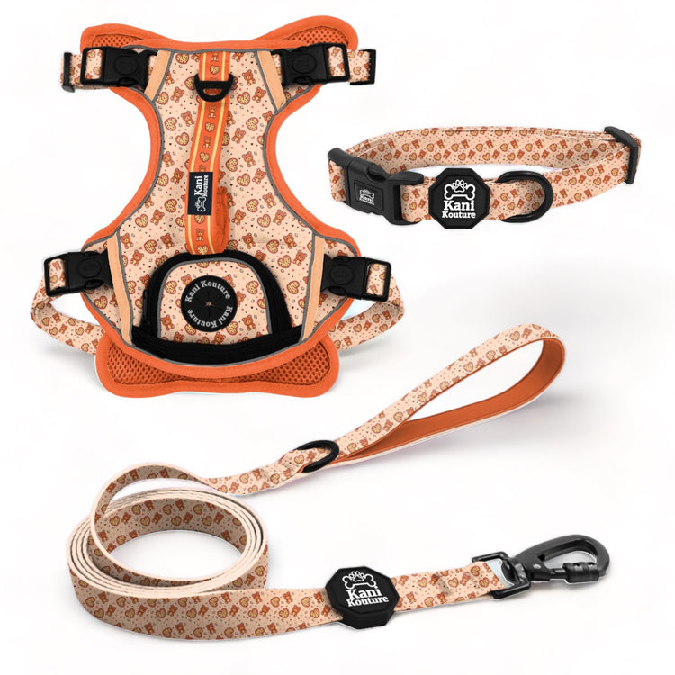 Teddy Hearts Essential Adventure Set: Adventure Dog Harness, Adventure Collar, and Leash Accessories