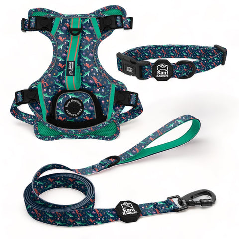 Scuba Dive Essential Adventure Set: Adventure Dog Harness, Adventure Collar, and Leash Accessories