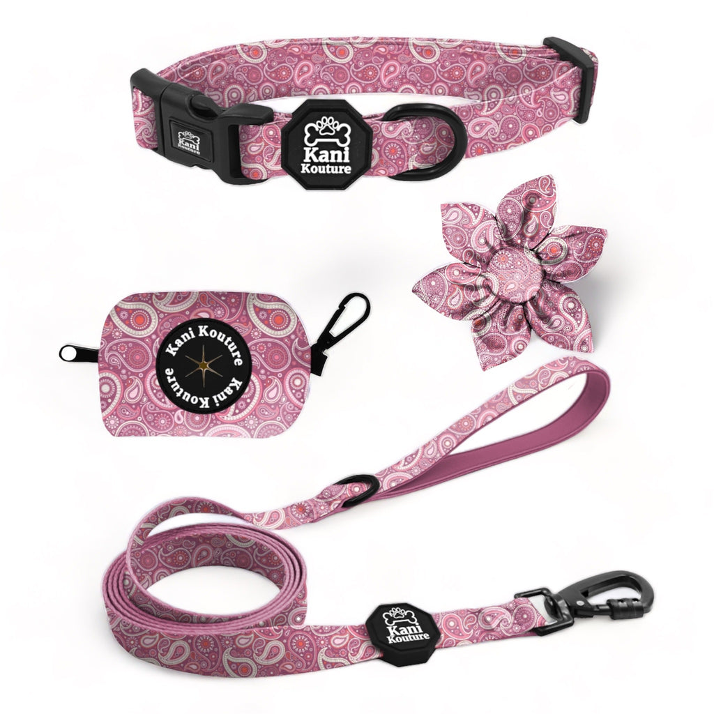 Pink Paisley Essential Collar Set: Adjustable Dog Collar, Leash, Bow Tie, and Accessories