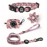 Tasty Donuts Essential Collar Set: Adjustable Dog Collar, Leash, Bow Tie, and Accessories