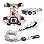 Frenchie Essential Adventure Set: Adventure Dog Harness, Adventure Collar, and Leash Accessories