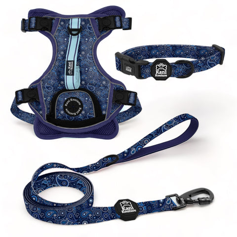 Blue Paisley Essential Adventure Set: Adventure Dog Harness, Adventure Collar, and Leash Accessories