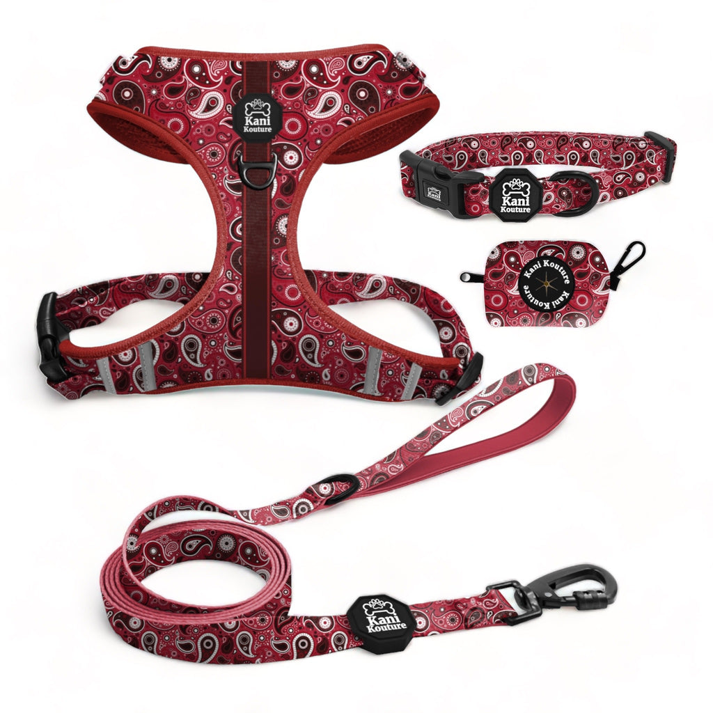 Red Paisley Essential Adjustable Set: Premium Dog Harness, Collar, Leash, and Poop Bag Dispenser for Ultimate Walks in Style