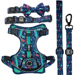 Scuba Dive - Adventure Bundle