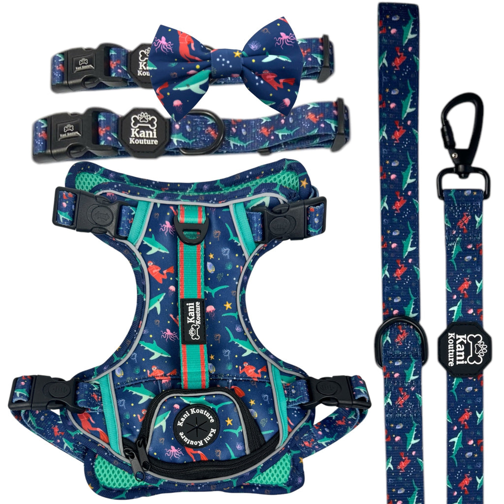 Scuba Dive - Adventure Bundle