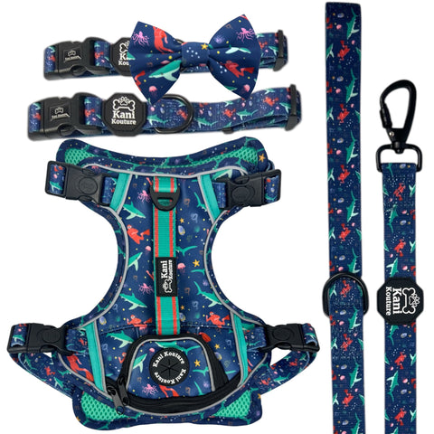Scuba Dive - Adventure Bundle
