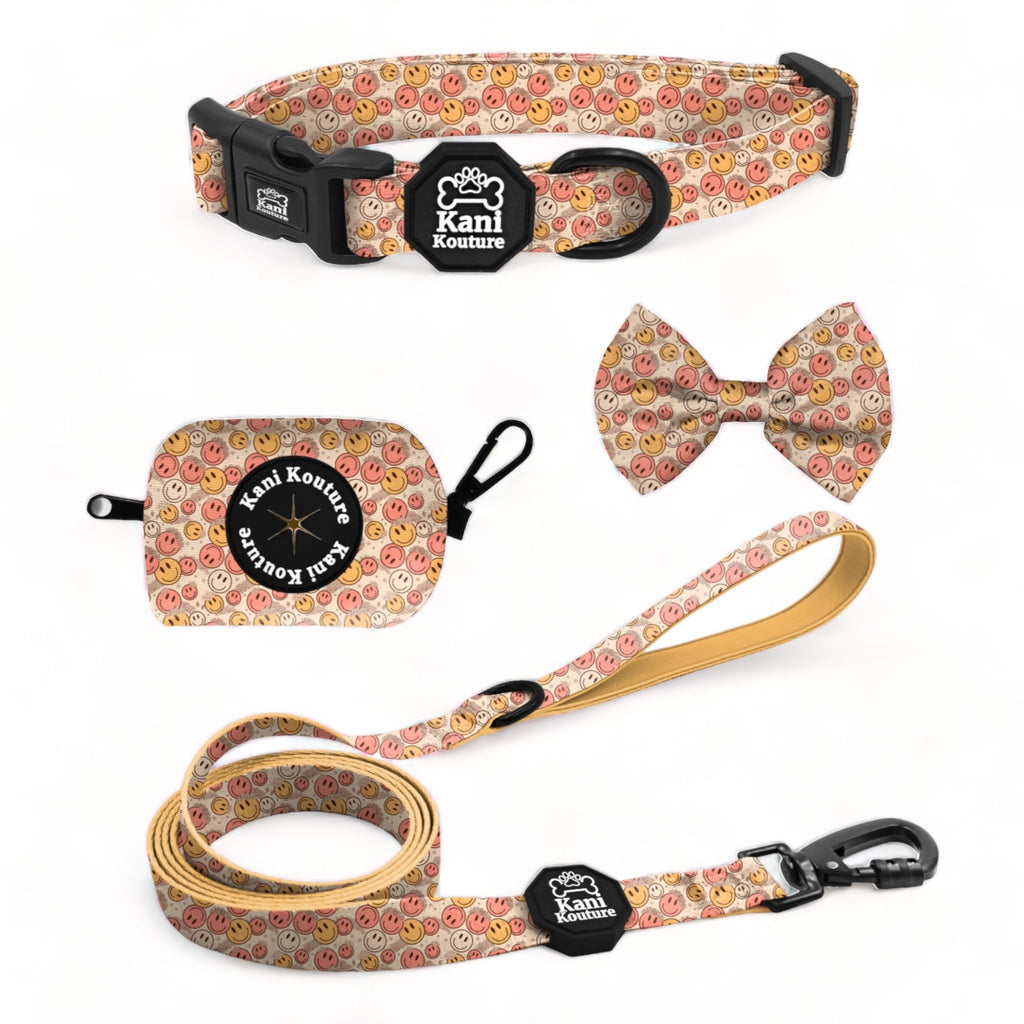 All Smiles Essential Collar Set: Adjustable Collar, Leash, Bow Tie, and Accessories