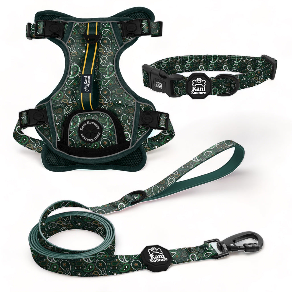 Green Paisley Essential Adventure Set: Adventure Dog Harness, Adventure Collar, and Leash Accessories